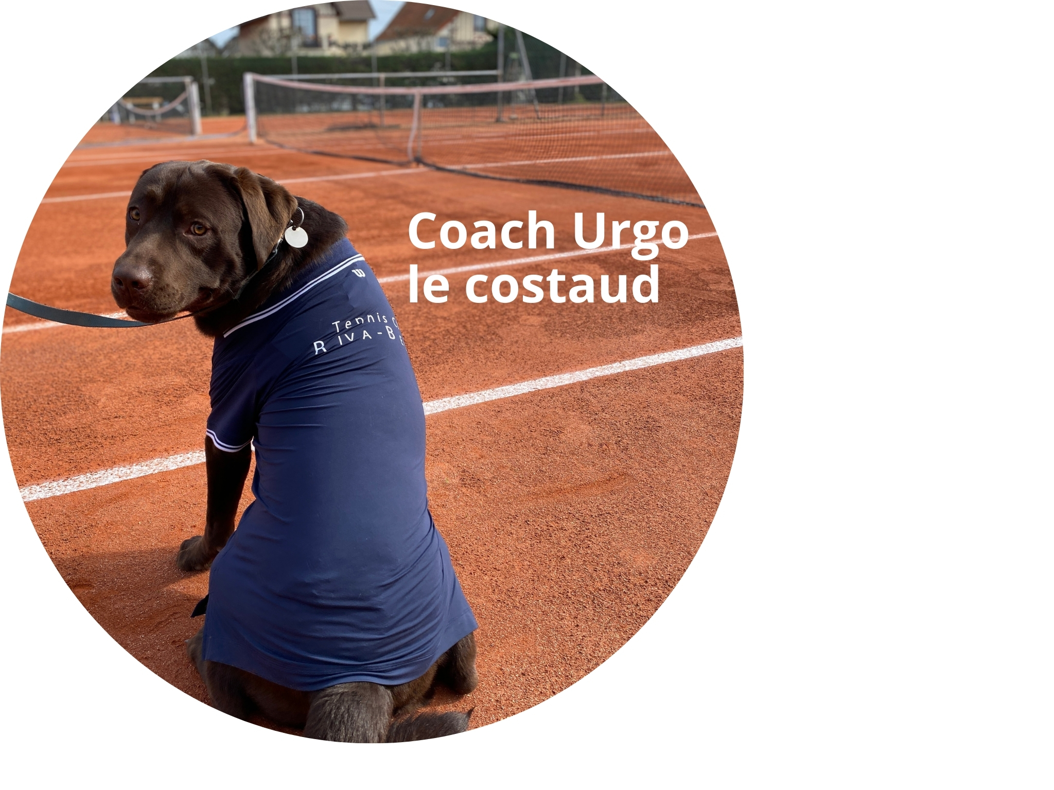 Coach Urgo (en formation)